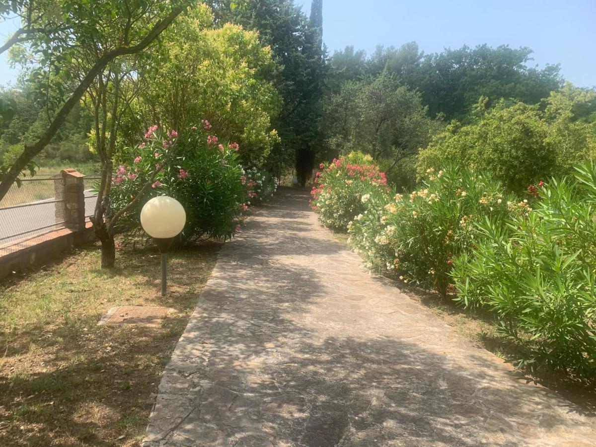 Villa San Marco Chambre D Hotes Lorgues Exterior photo